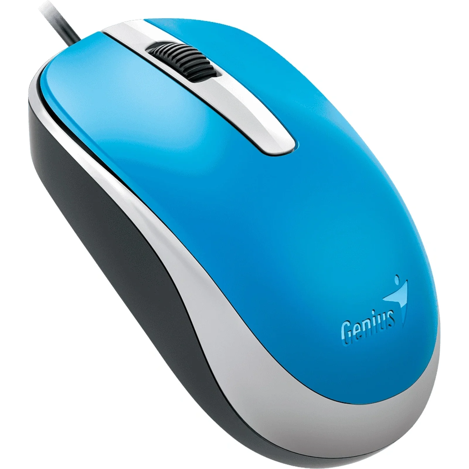 Миша Genius DX-120 USB Blue (31010105103) UA