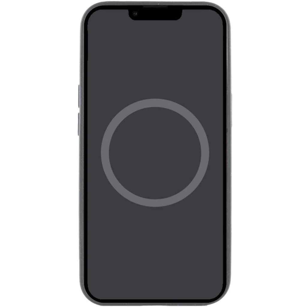 Чохол Apple iPhone 15 Plus Silicone Case with MagSafe Black (HQCo)