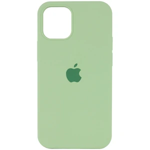 Цвет: Зеленый - Чехол Silicone Case Full Protective Mint для Apple iPhone 13