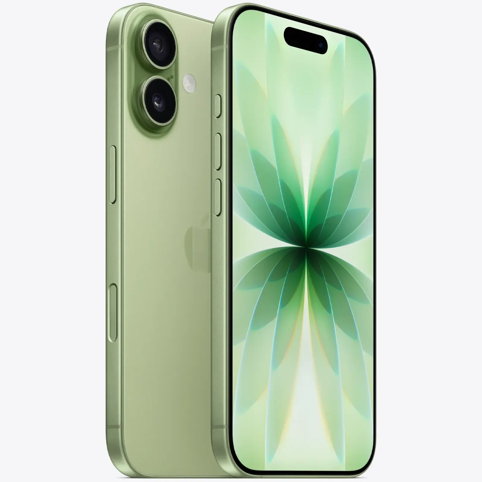 Смартфон Apple iPhone 17 256GB Sage (MG6N4)