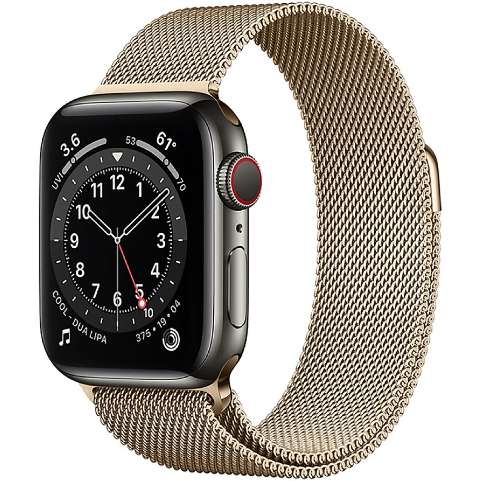 Apple Watch Series 6 GPS + Cellular 40mm Graphite Stainless Steel Case with Gold Milanese Loop (M0DF3/M0DW3)