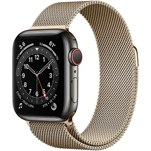 Смарт-часы Apple Watch Series 6 GPS + Cellular 40mm Graphite Stainless Steel Case with Gold Milanese Loop (M0DF3/M0DW3)