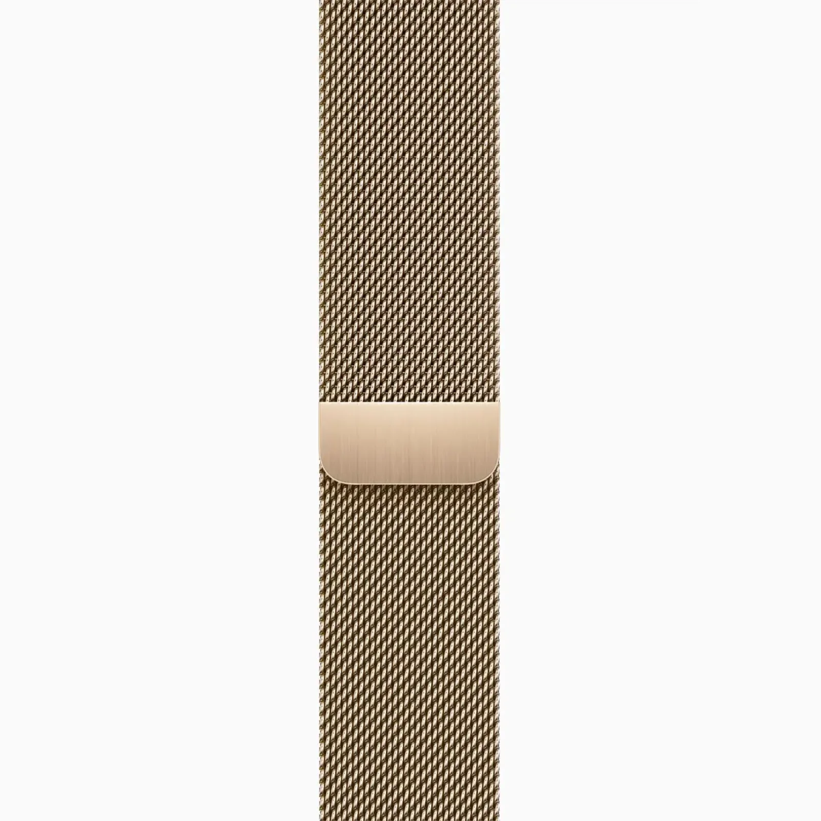 Смарт-часы Apple Watch Series 9 GPS + Cellular 45mm Gold Stainless Steel Case with Gold Milanese Loop (MRMU3)