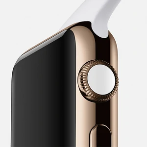 Какие APPLE WATCH купите вы?
