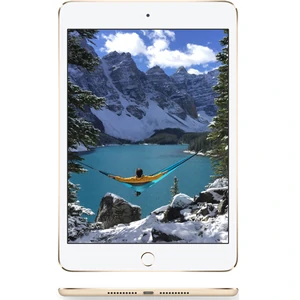 Планшет Apple iPad mini 4 Wi-Fi + Cellular 32GB Space Gray (MNWP2, MNWE2R)