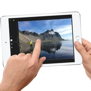 Планшет Apple iPad Mini 4 16GB WiFi Silver (MK6K2)