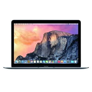 Ноутбук Apple MacBook 12" MJY32 256GB Space Grey