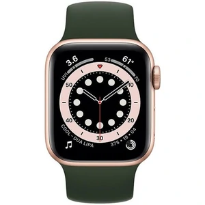 Смарт-часы Apple Watch Series 6 GPS 40mm Gold Aluminum Case with Cyprus Green Solo Loop MG193/MYQ02 (MG193LL/A/MYQ02LL/A)