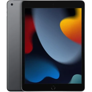 Планшет Apple iPad 10.2 2021 Wi-Fi 256GB Space Gray (MK2N3)