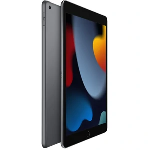 Планшет Apple iPad 10.2 2021 Wi-Fi 256GB Space Gray (MK2N3)