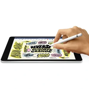 Планшет Apple iPad 10.2 2021 Wi-Fi + Cellular 256GB Silver (MK6A3)