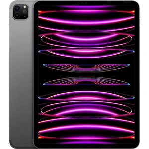 Планшет Apple iPad Pro 11 2022 Wi-Fi + Cellular 1TB Space Gray (MNYJ3)