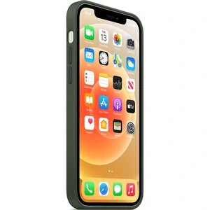 Чехол Apple iPhone 12 Mini Silicone Case Cyprus Green (HQCo)