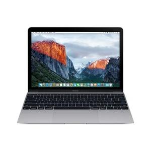 Колір: Сірий - Ноутбук Apple MacBook 12" MLH72 256GB Space Gray (2016)