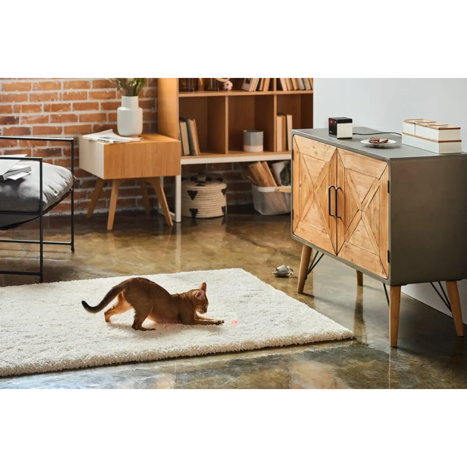 Камера відеоспостереження Petcube Play 2 (PP20US) UA