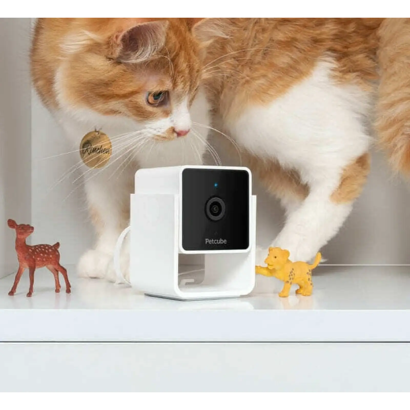 Камера відеоспостереження Petcube Cam (CC10US) UA