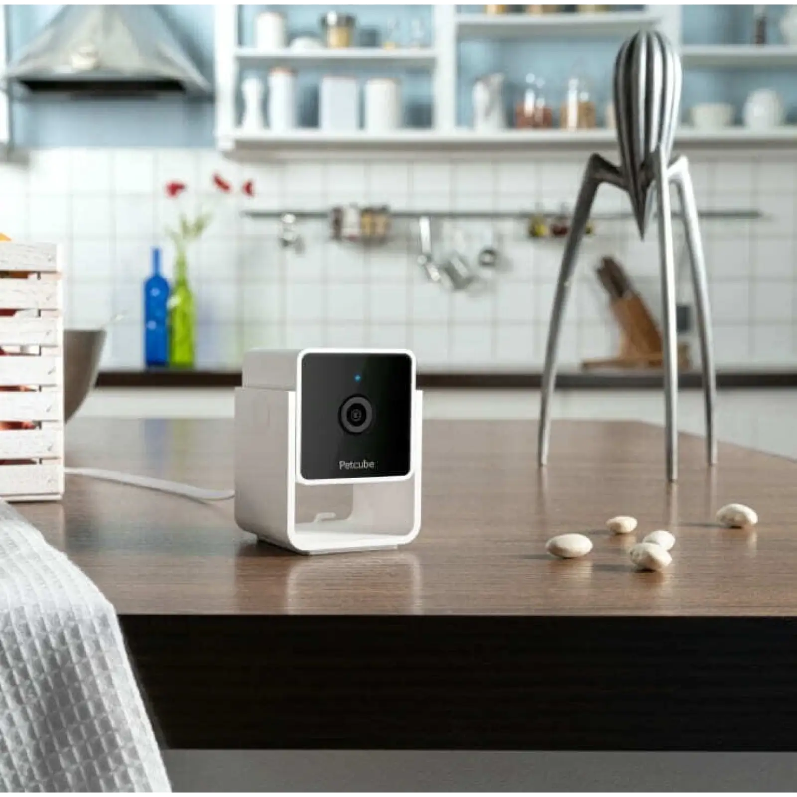Камера відеоспостереження Petcube Cam (CC10US) UA