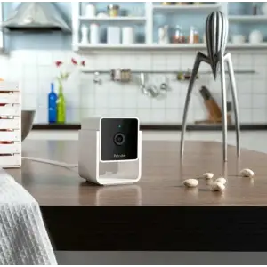 Камера відеоспостереження Petcube Cam (CC10US) UA