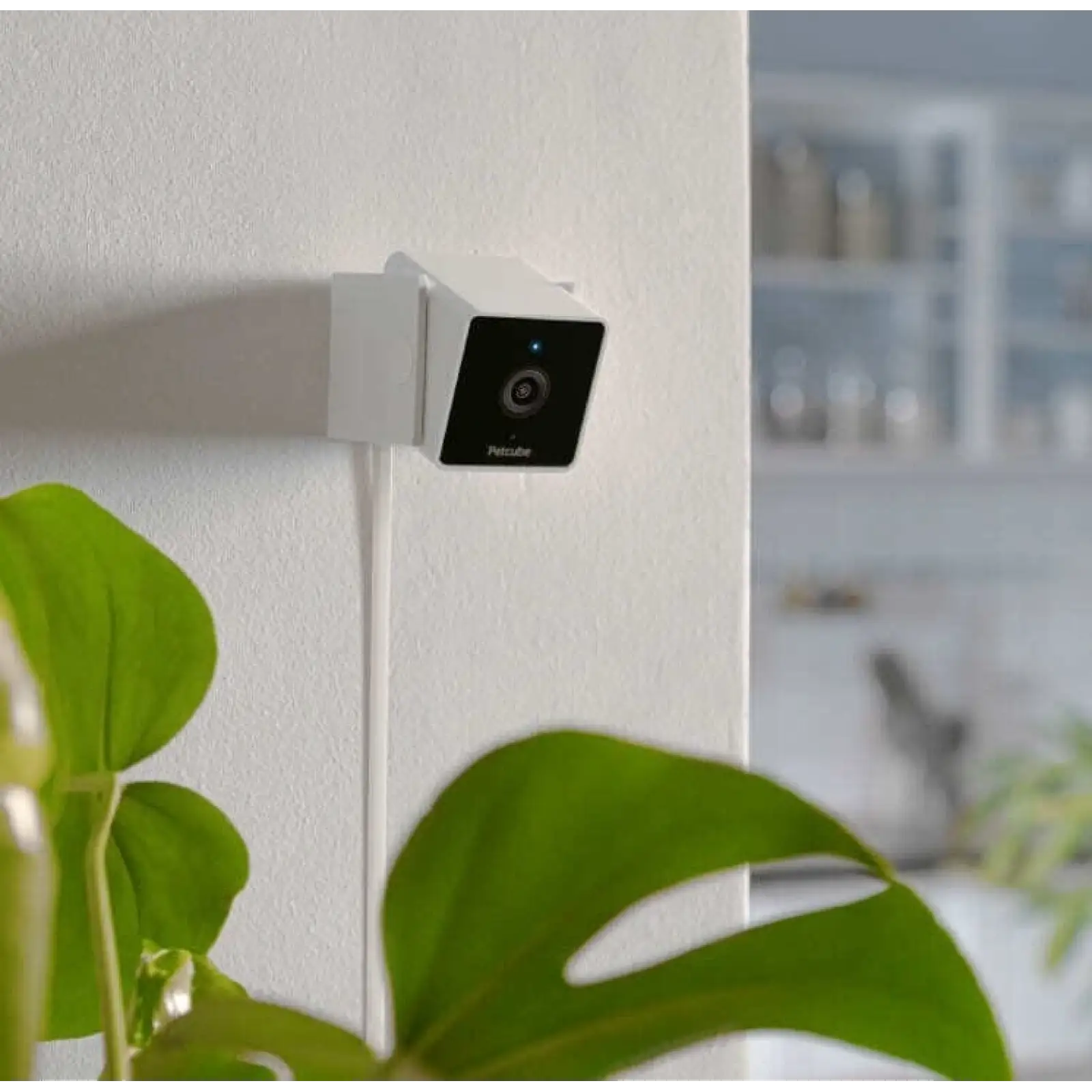 Камера відеоспостереження Petcube Cam (CC10US) UA