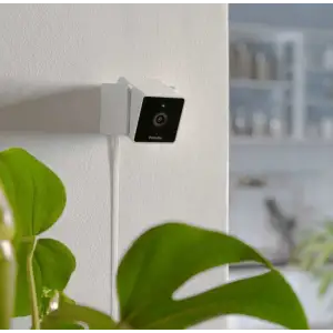 Камера відеоспостереження Petcube Cam (CC10US) UA