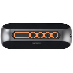 Портативна колонка Aspiring Blast 3 TWS 20W Radio Black (BL3005R) UA