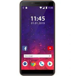 Смартфон Assistant AS-601L PRO Gold UA