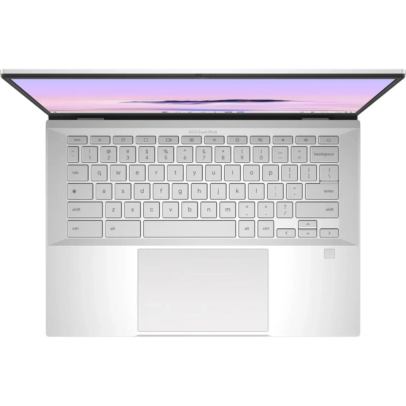 Ноутбук ASUS ExpertBook CX54 Fog Silver (CX5403CMA-U516256)