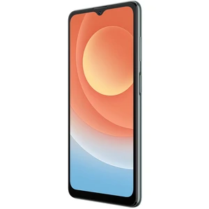 Смартфон Blackview A53 Pro 4/64Gb Grey EU