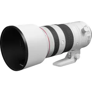 Длиннофокусный объектив Canon RF 70-200mm f/2.8L IS USM White (3792C005)