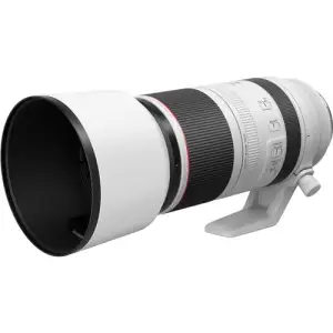 Долгофокусный объектив Canon RF 100-500mm f/4.5-7.1L IS USM White (4112C005)