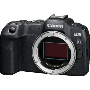 Бездзеркальний фотоапарат Canon EOS R8 Body + Mount Adapter EF-EOS R