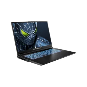 Ноутбук Dream Machines RG5050-17 (RG5050-17UA24) UA