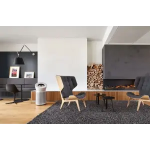 Очищувач повітря Dyson Purifier Big+Quiet BP02 White/Silver (304511-01)