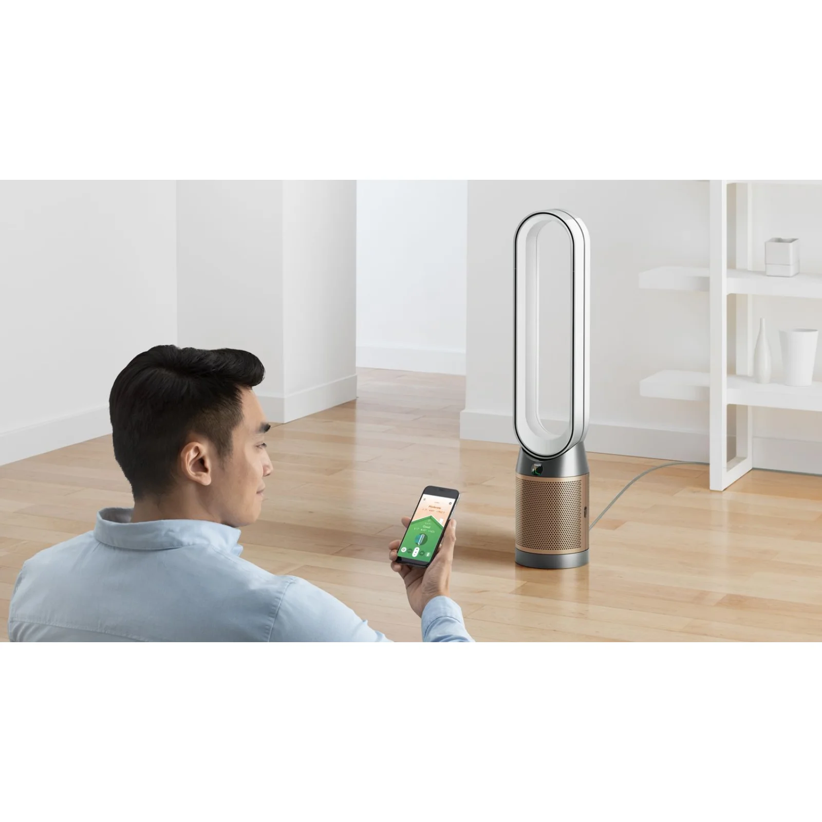 Очищувач повітря Dyson PC2 De-Nox TP12 White/Gold (546519-01)