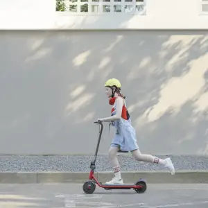 Електросамокат Ninebot by Segway C15E