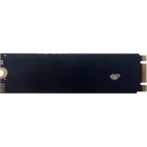 Накопичувач SSD Golden Memory 128 GB (GMNV128) UA
