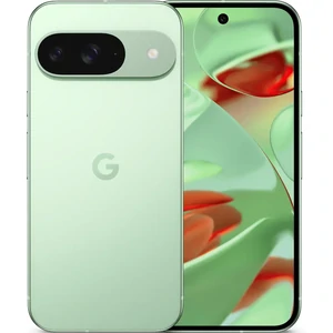 Цвет: Зеленый - Смартфон Google Pixel 9 12/256GB Wintergreen