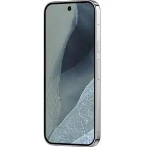 Смартфон Google Pixel 11 Pro XL 12/256GB Fog