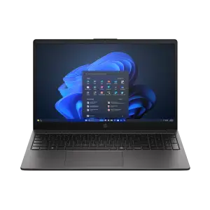 Ноутбук HP 255R G10 Darl Ash Silver (D4VF2ET) UA