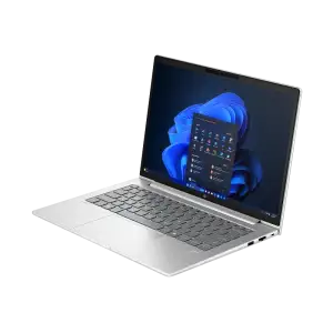 Ноутбук HP ProBook 4 G1a 14” Silver (D4VG1ET) UA