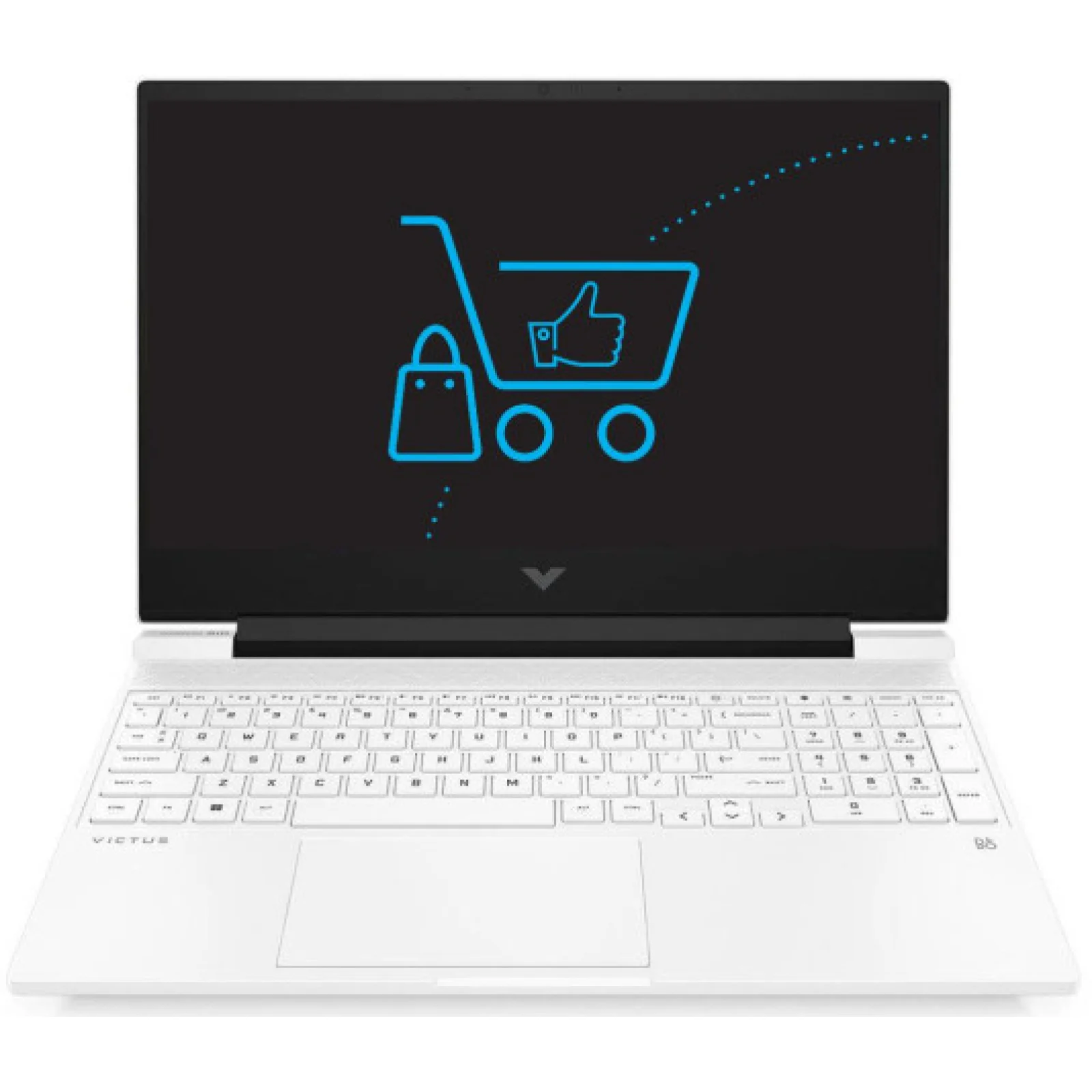 Ноутбук HP Victus 15-fb2670nw (A58SXEA)