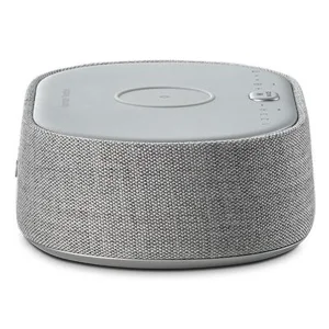 Акустическая система Harman/Kardon Citation Oasis FM Grey (HKCITAOASISFMGRYEP)