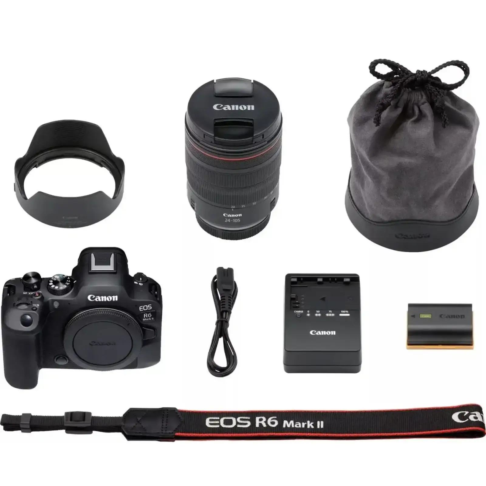 Фотоапарат Canon EOS R6 Mark II +RF 24-105 f/4.0 L IS (5666C029AA) UA
