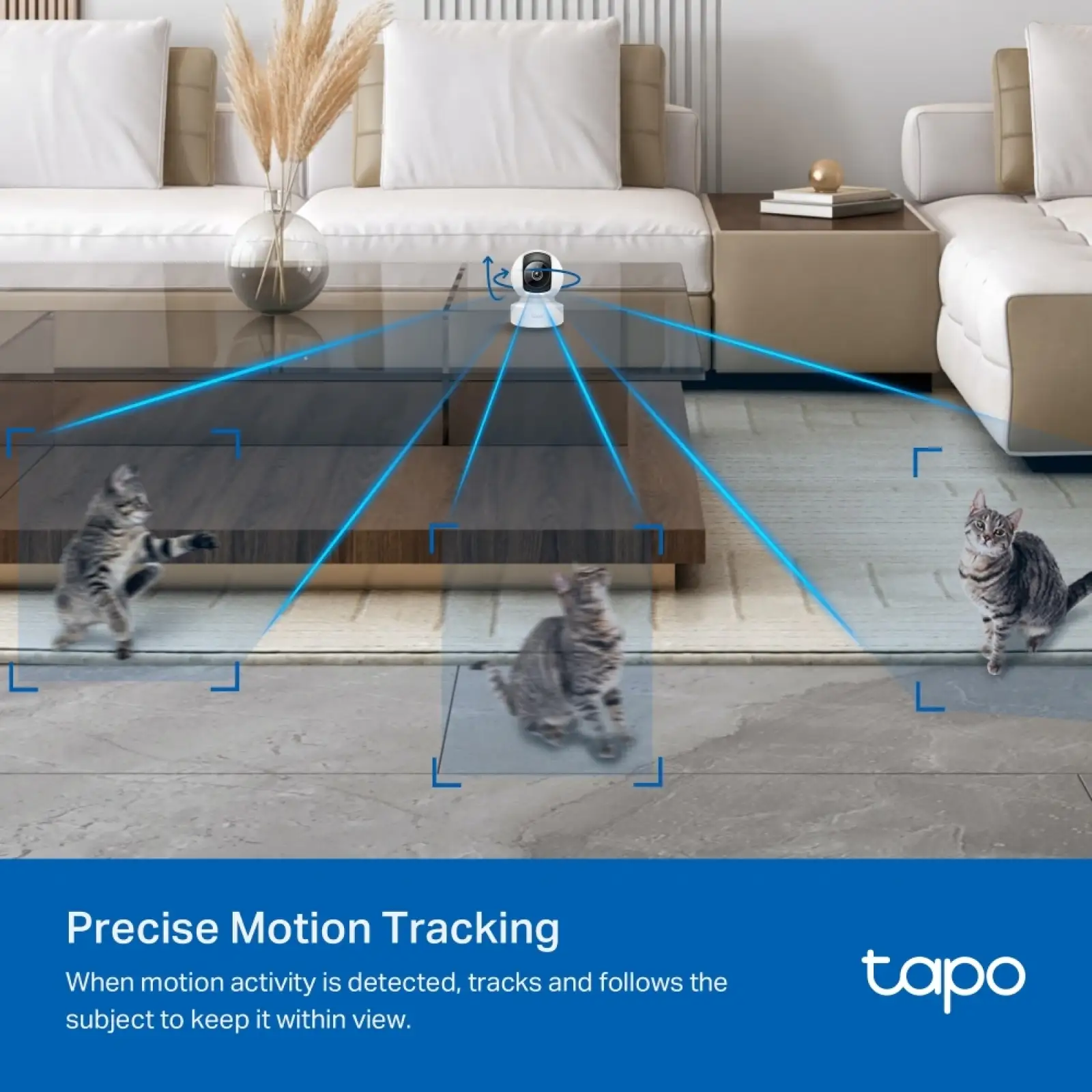 IP-камера TP-Link Tapo C232 5MP N300 UA