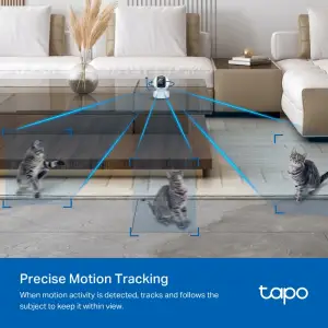 IP-камера TP-Link Tapo C232 5MP N300 UA