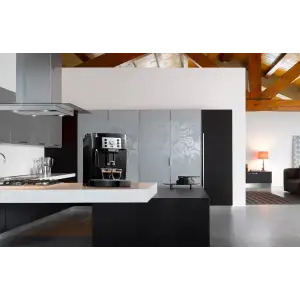 Кофеварка Delonghi Magnifica S ECAM 22.115.B