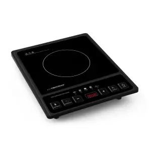 Индукционная электроплита ESPERANZA EKH011 UA