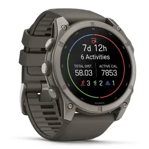Смарт-годинник Garmin Fenix 9 51mm Titanium with Pebble Gray Silicone Band (010-04763-00/01)