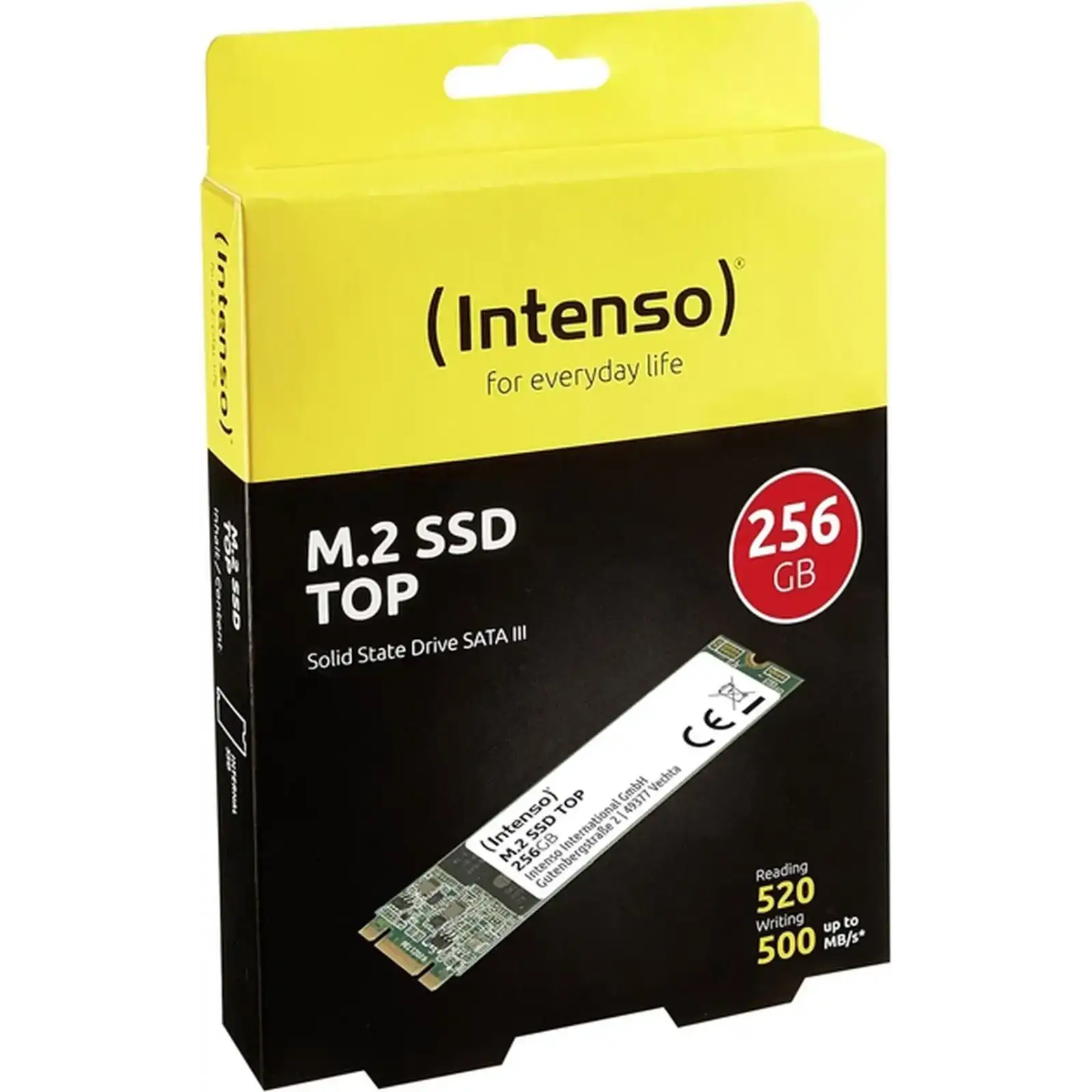 SSD накопичувач Intenso TOP 256 GB (3832440)
