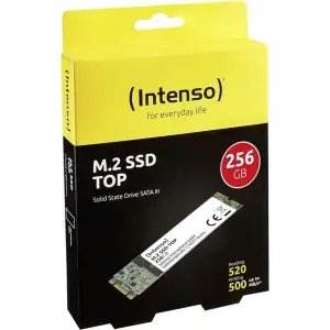 SSD накопичувач Intenso TOP 256 GB (3832440)